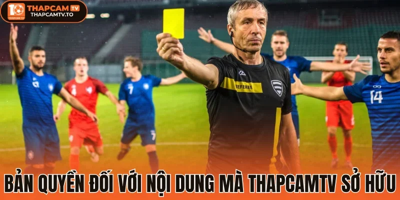 Bản quyền đối với nội dung mà thapcamtv sở hữu