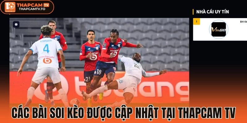 Các bài soi kèo được cập nhật tại thapcam tv