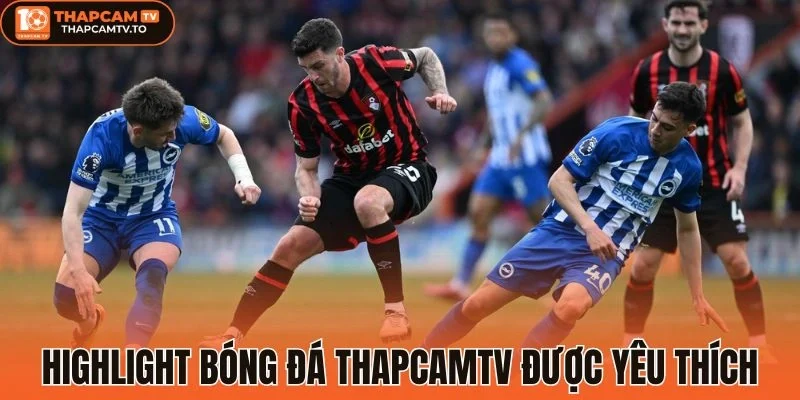 Các video xem lại được cập nhật nhanh chóng