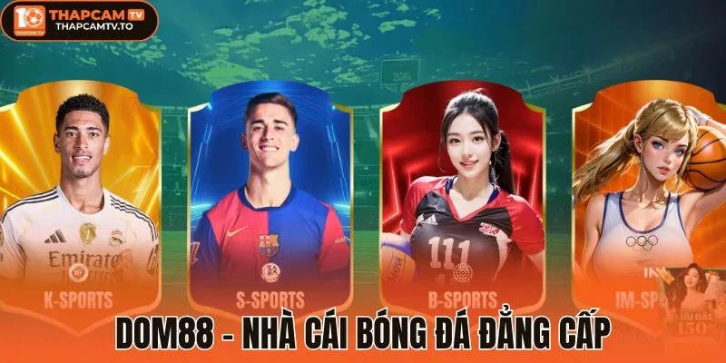 Dom88 - nhà cái kèo minh bạch đáng chơi