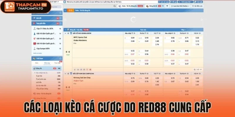 Tìm hiểu kỹ các loại kèo trước khi vào tiền