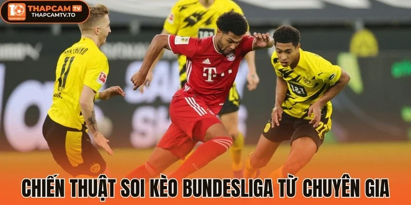 Chiến thuật soi kèo Bundesliga từ chuyên gia