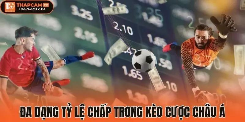 Đa dạng tỷ lệ chấp trong kèo cược châu Á