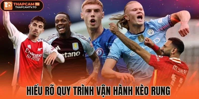 Hiểu rõ quy trình vận hành kèo rung 