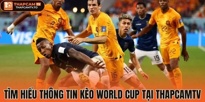 Tìm hiểu thông tin kèo World Cup tại thapcamtv