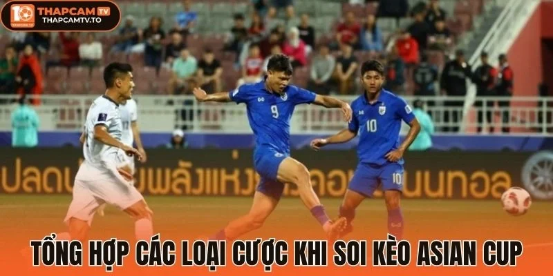 Tổng hợp các loại cược khi soi kèo Asian Cup