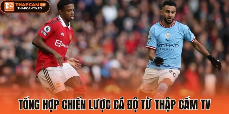 Tổng hợp chiến lược cá độ từ thập cẩm tv