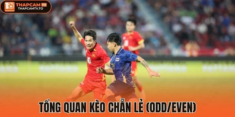 Tổng quan Kèo chẵn lẻ (Odd/Even)