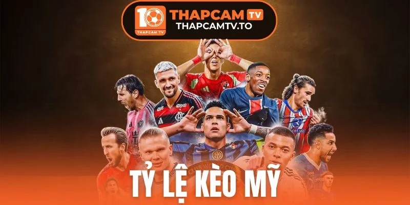 Tỷ Lệ Kèo Mỹ Là Gì? Chỉ Dẫn Cách Đọc Hiểu Chuẩn Xác Nhất