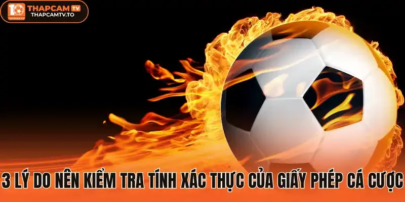 3 Lý do nên kiểm tra tính xác thực của giấy phép cá cược