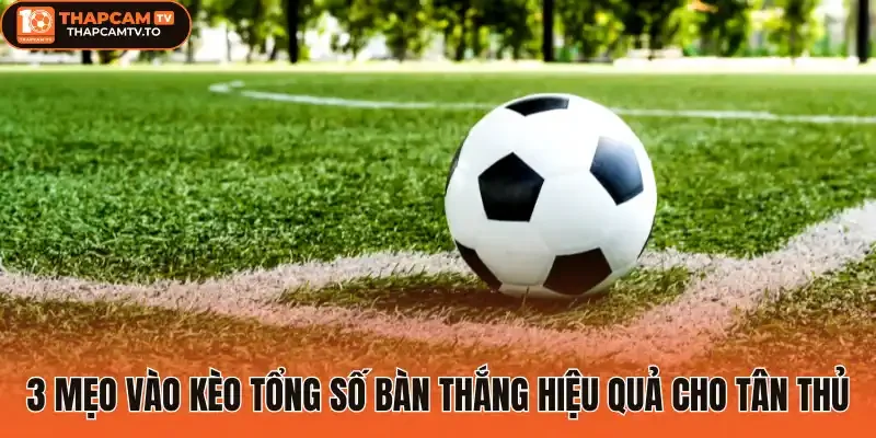 3 Mẹo vào Kèo tổng số bàn thắng hiệu quả cho tân thủ