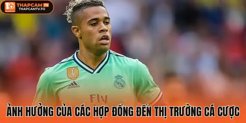 Ảnh hưởng của các hợp đồng đến thị trường cá cược