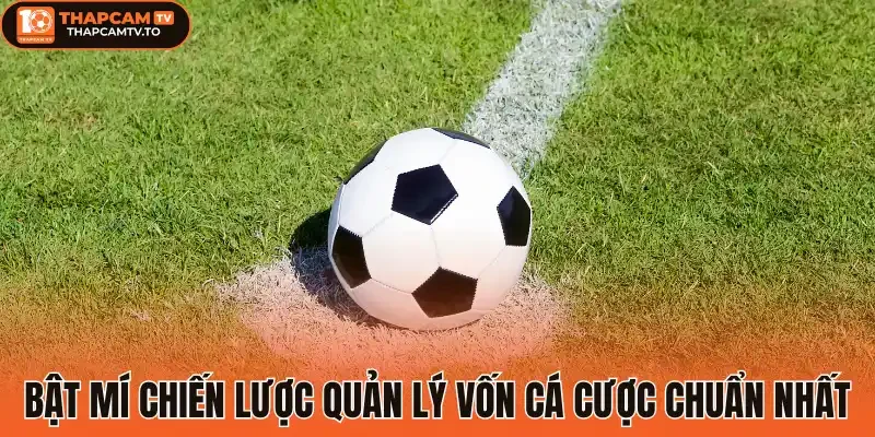 Bật mí chiến lược quản lý vốn cá cược chuẩn nhất