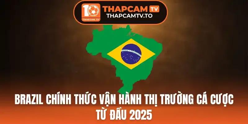 Những thành tựu đạt được sau khi vận hành thị trường cá cược