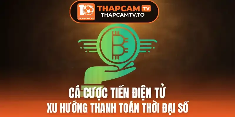 Theo dõi biến động giá crypto