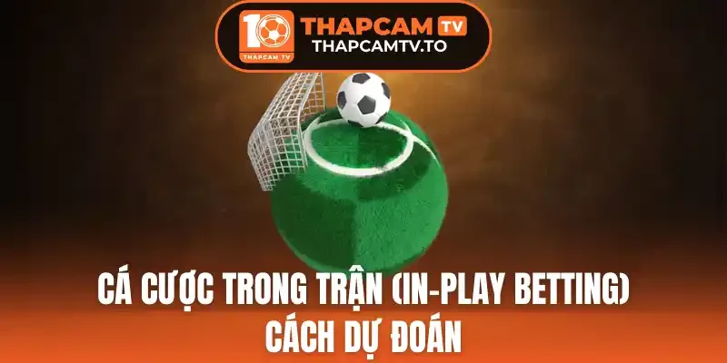 Quan sát thế trận trước khi dự đoán