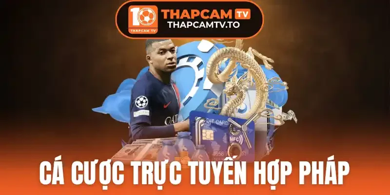 3 Lưu ý giúp bạn chọn đúng nền tảng cá cược trực tuyến hợp pháp