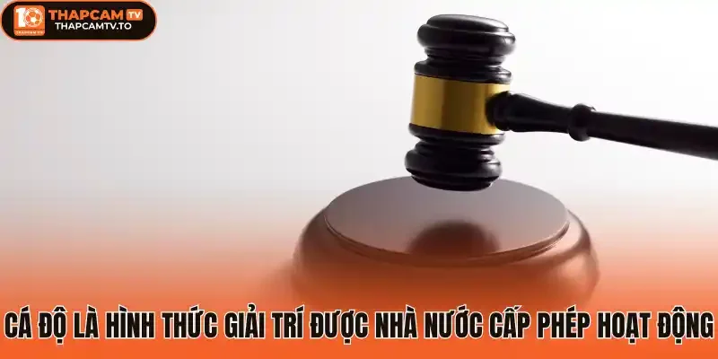 Cá độ là hình thức giải trí được nhà nước cấp phép hoạt động