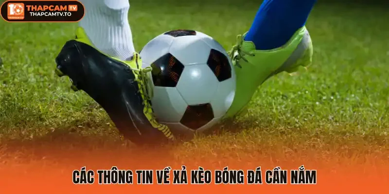 Các thông tin về xả kèo bóng đá cần nắm