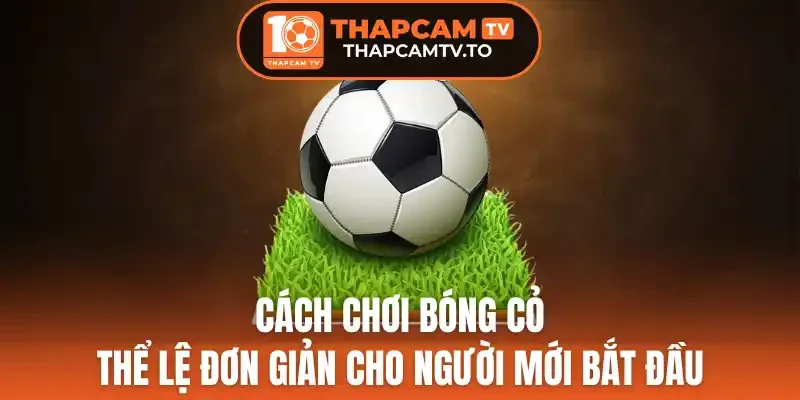 Di chuyển thông minh không phí sức