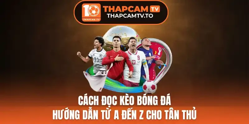 Cách Đọc Kèo Bóng Đá - Hướng Dẫn Từ A Đến Z Cho Tân Thủ