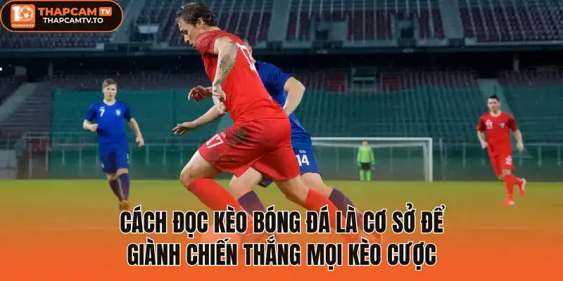 Cách đọc kèo bóng đá là cơ sở để giành chiến thắng mọi kèo cược
