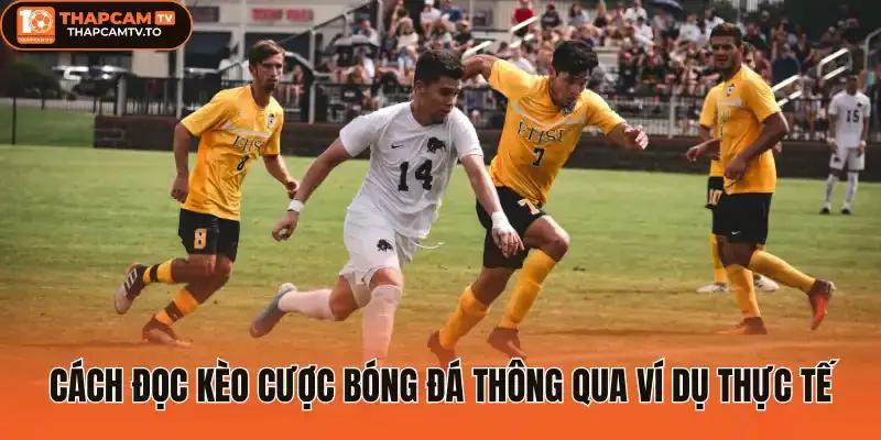 Cách đọc kèo cược bóng đá thông qua ví dụ thực tế