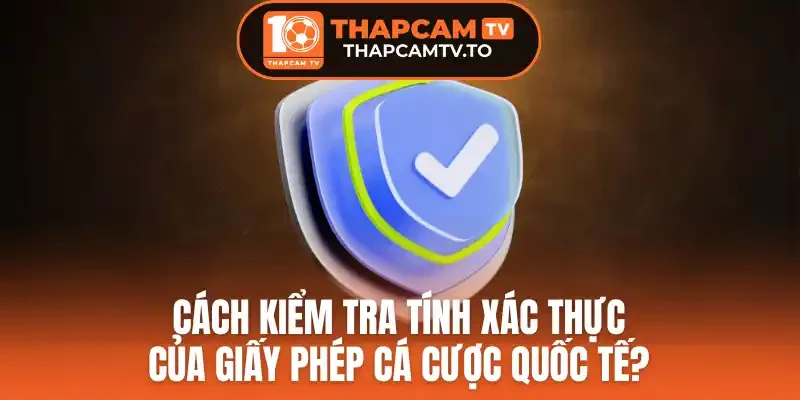 Top 5 loại giấy phép quốc tế và cách kiểm tra tín xác thực