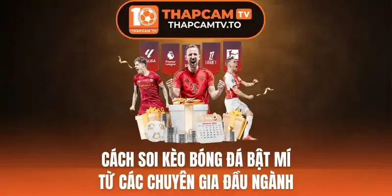 Cách Soi Kèo Bóng Đá Bật Mí Từ Các Chuyên Gia Đầu Ngành