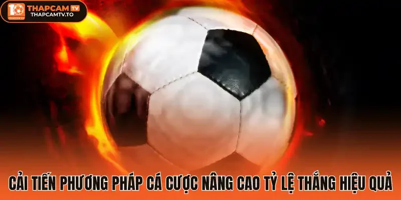 Cải tiến phương pháp cá cược nâng cao tỷ lệ thắng hiệu quả