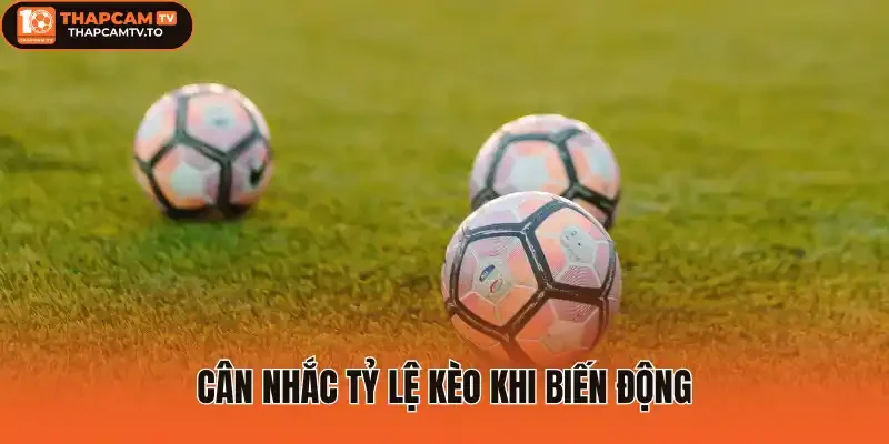 Cân nhắc tỷ lệ kèo khi biến động