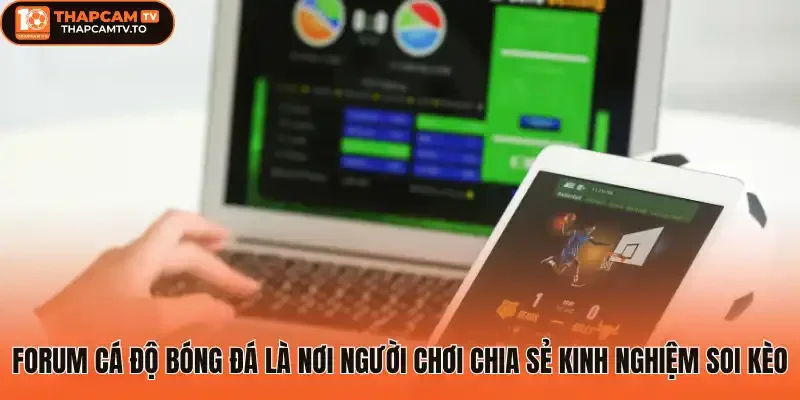 Forum cá độ bóng đá là nơi người chơi chia sẻ kinh nghiệm soi kèo