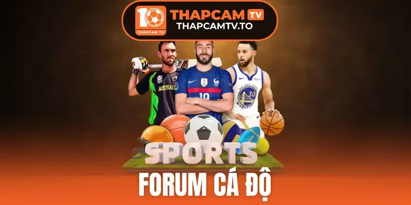 Diễn đàn cá độ bóng đá hỗ trợ người chơi soi kèo và dự đoán kết quả