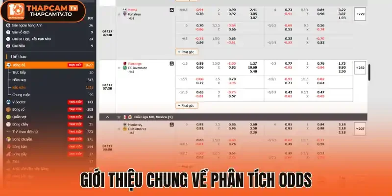 Giới thiệu chung về phân tích odds