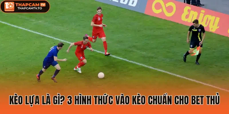 Kèo lựa là gì? 3 Hình thức vào kèo chuẩn cho bet thủ