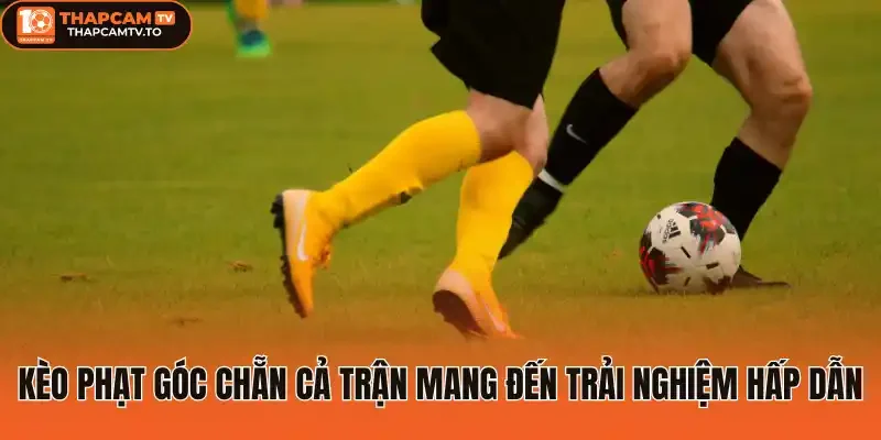 Kèo phạt góc chẵn cả trận mang đến trải nghiệm hấp dẫn