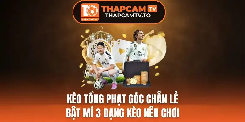 Kèo Tổng Phạt Góc Chẵn Lẻ - Bật Mí 3 Dạng Kèo Nên Chơi