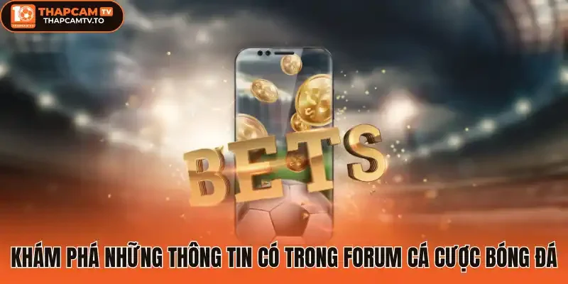 Khám phá những thông tin có trong forum cá cược bóng đá