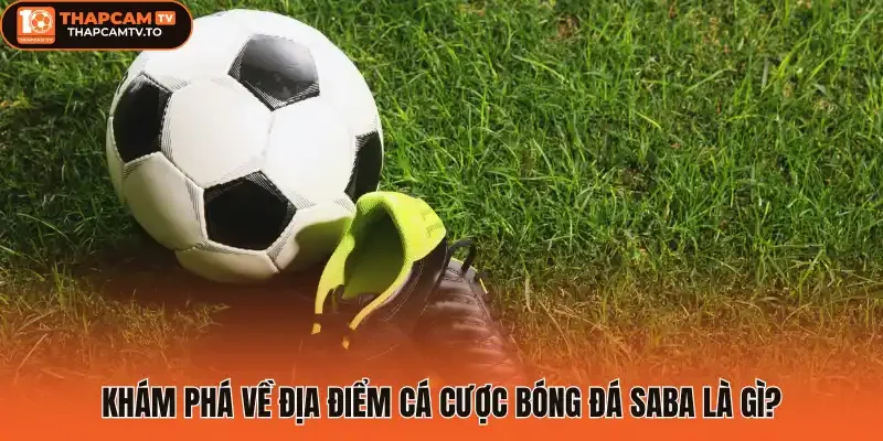 Khám phá về địa điểm cá cược bóng đá saba là gì?