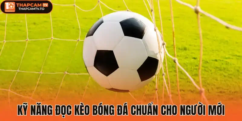 Kỹ năng đọc kèo bóng đá chuẩn cho người mới