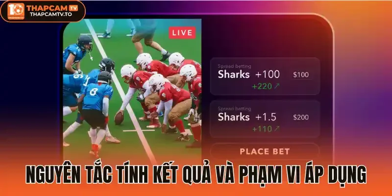 Nguyên tắc tính kết quả và phạm vi áp dụng