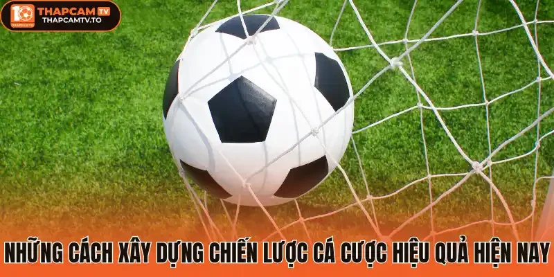 Những cách xây dựng chiến lược cá cược hiệu quả hiện nay