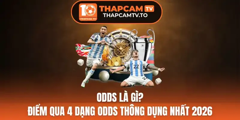 Odds Là Gì? Điểm Qua 4 Dạng Odds Thông Dụng Nhất 2026