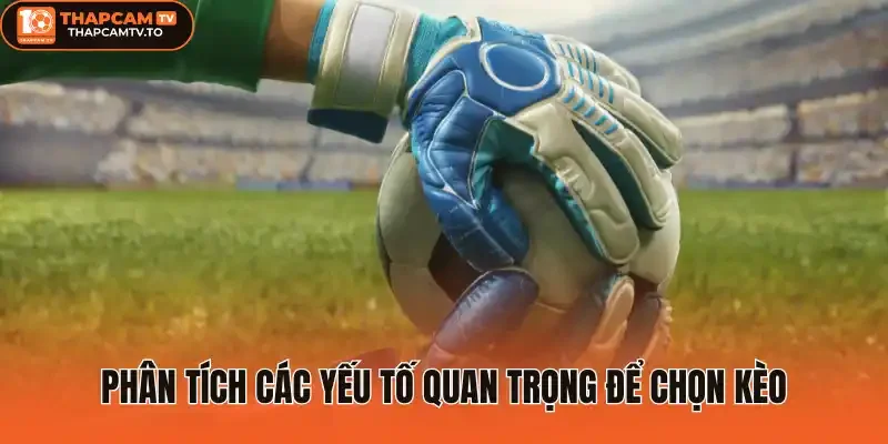 Phân tích các yếu tố quan trọng để chọn kèo