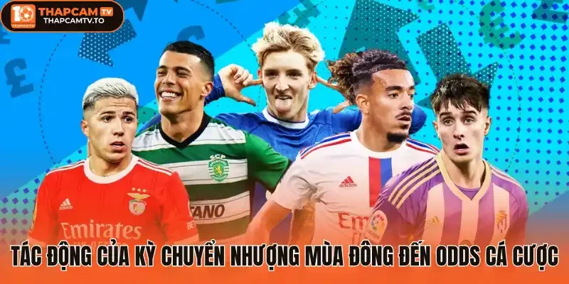 Cập nhật tình hình chuyển nhượng 2026 mới nhất