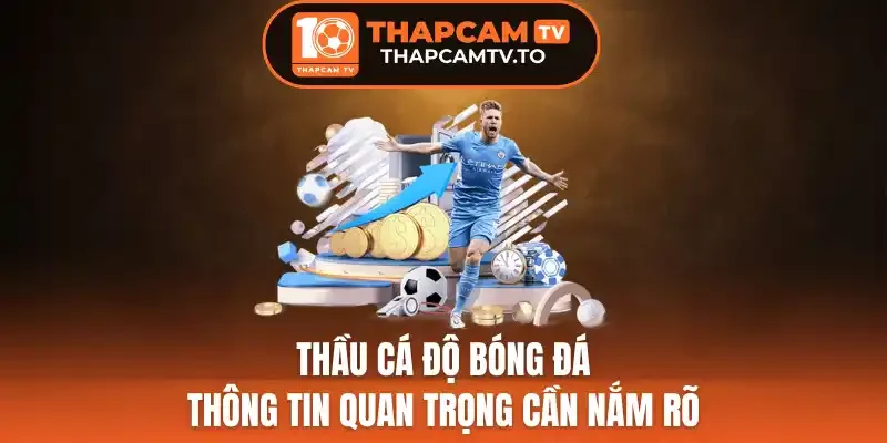 Thầu Cá Độ Bóng Đá - Thông Tin Quan Trọng Cần Nắm Rõ