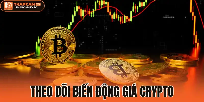 Theo dõi biến động giá crypto