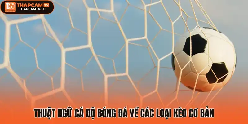 Thuật ngữ cá độ bóng đá về các loại kèo cơ bản