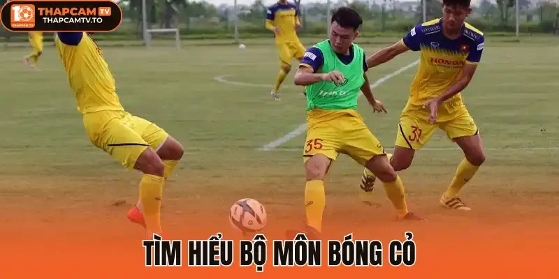 Tìm hiểu bộ môn bóng cỏ