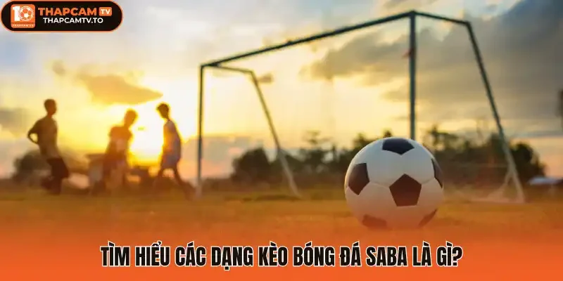 Tìm hiểu các dạng kèo bóng đá saba là gì?